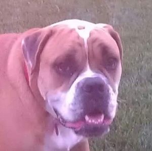 Meet your Posher, Tim